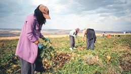 Kırsaldaki kadınlara dijital rehberler geliyor