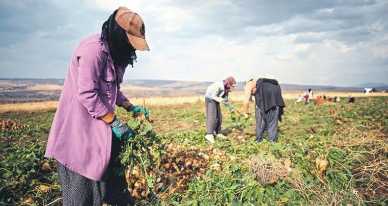 Kırsaldaki kadınlara dijital rehberler geliyor